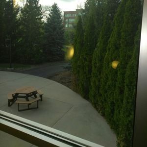 Meet your Posher, Demetri